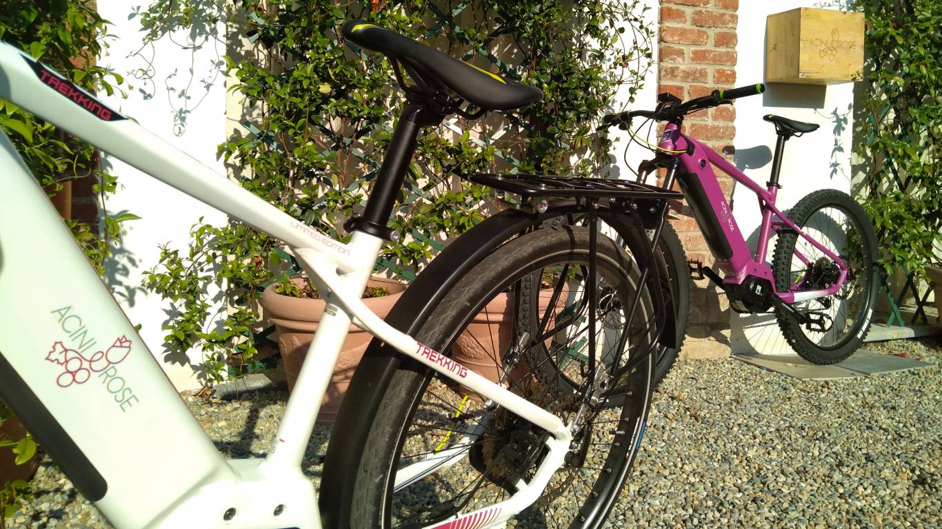 e-bike-canavese-torino-acini-e-rose-guest-house-canavese-IMG-20220512-180005