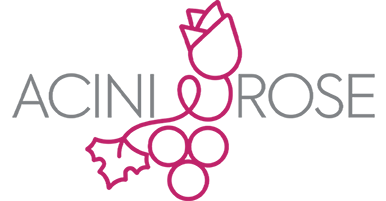 Logo Guest House Acini e Rose