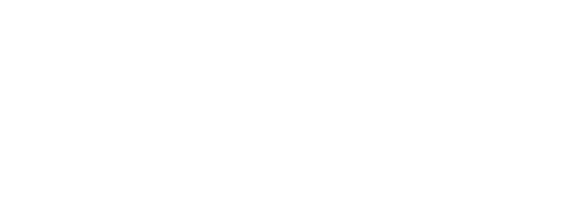 logo-acini