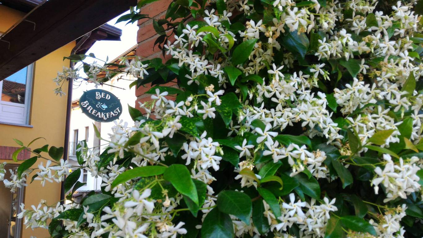 B&B-nel-canavese-bed-&-breakfast-le-antiche-volte-montalenghe-torino-13